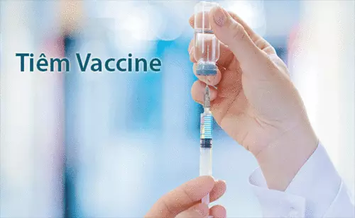 Tiem-vaccine-viem-gan-B-la-bien-phap-hieu-qua-nhat-de-phong-ngua-viem-gan-D .webp